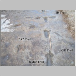 102_7503 (2013-08-19)m-labeled.jpg